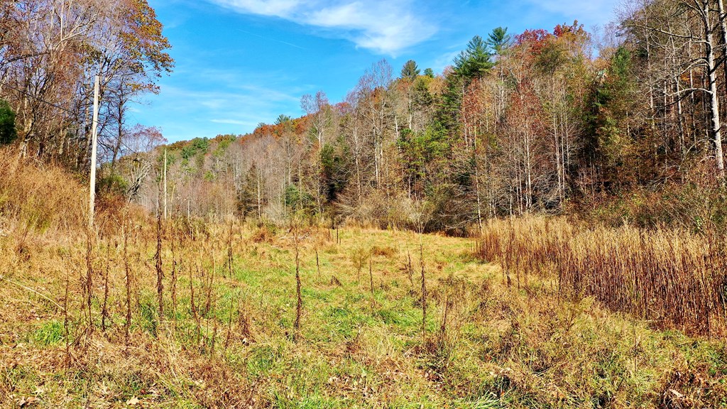 TR 3B Wolf Pen Gap Road