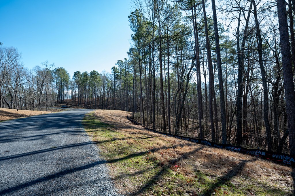 Lot 318 Pebble Trace