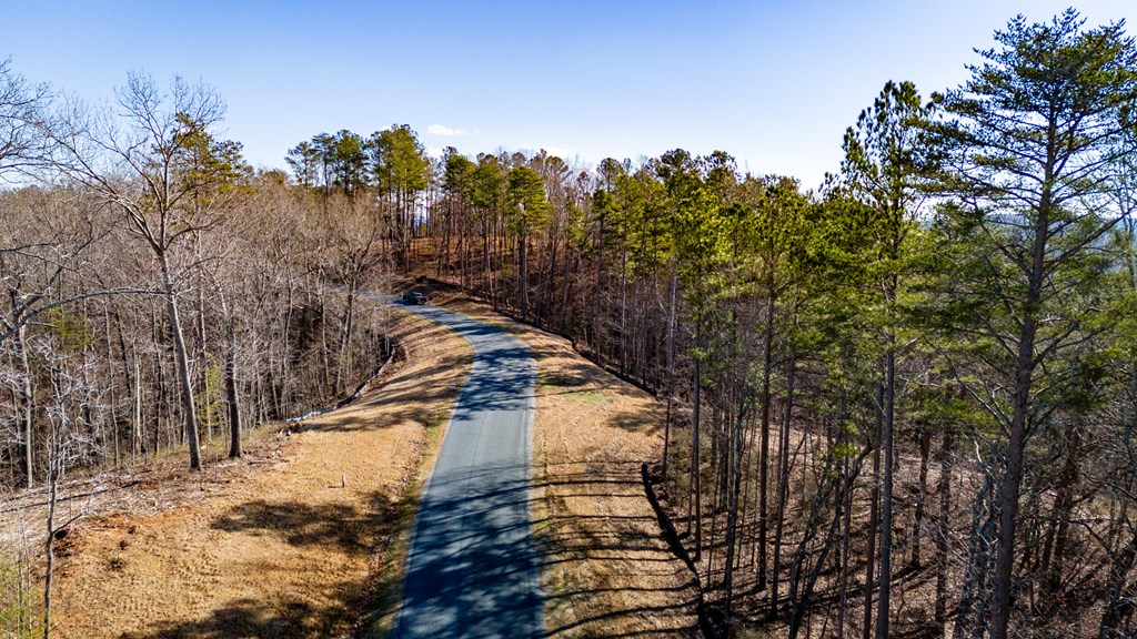 Lot 318 Pebble Trace