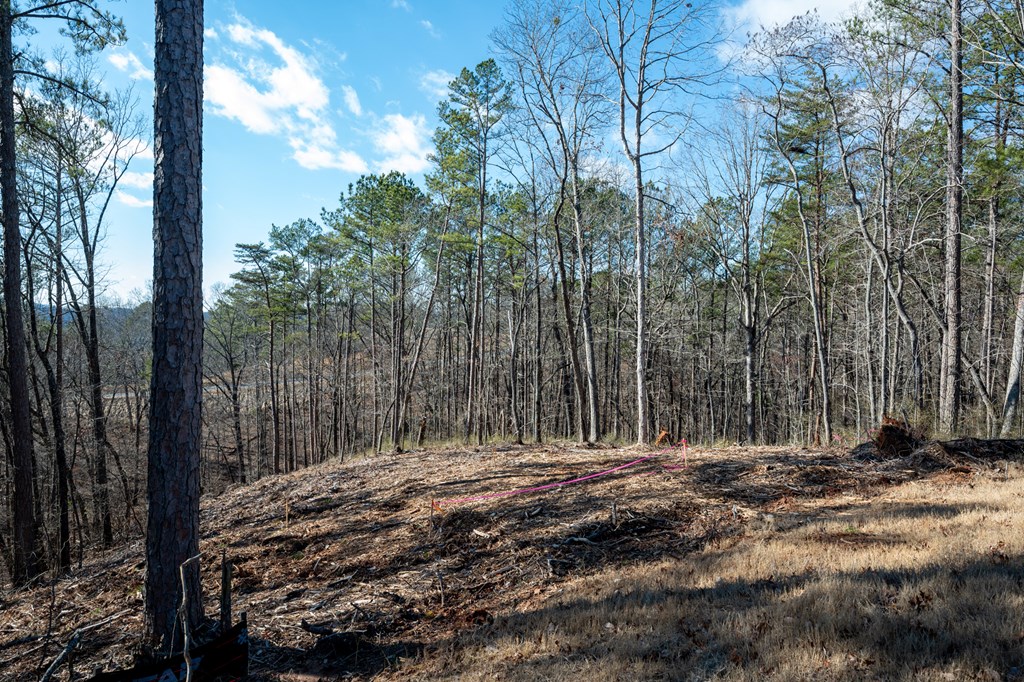 Lot 318 Pebble Trace