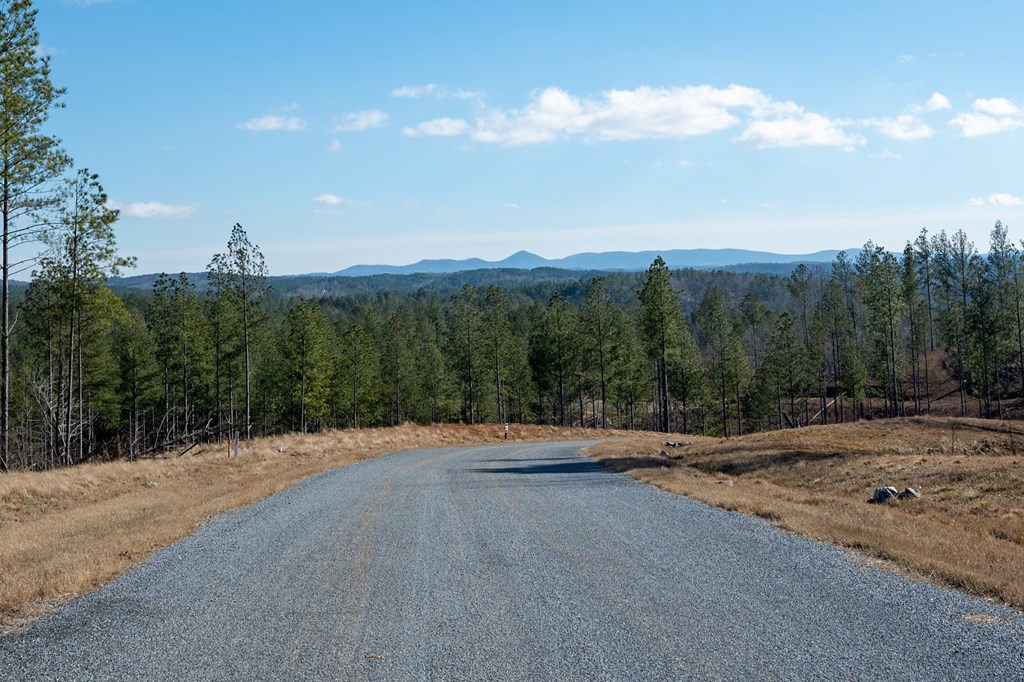 Lot 318 Pebble Trace