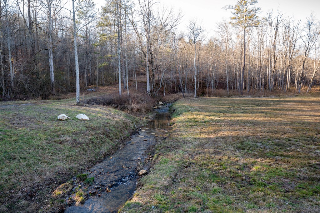 Lot 318 Pebble Trace