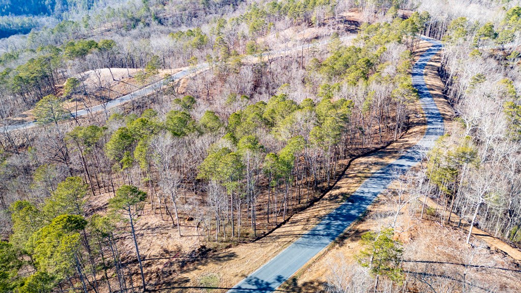 Lot 318 Pebble Trace