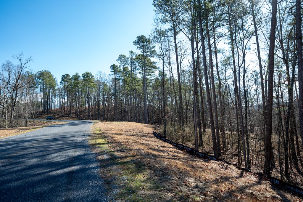 Lot 318 Pebble Trace