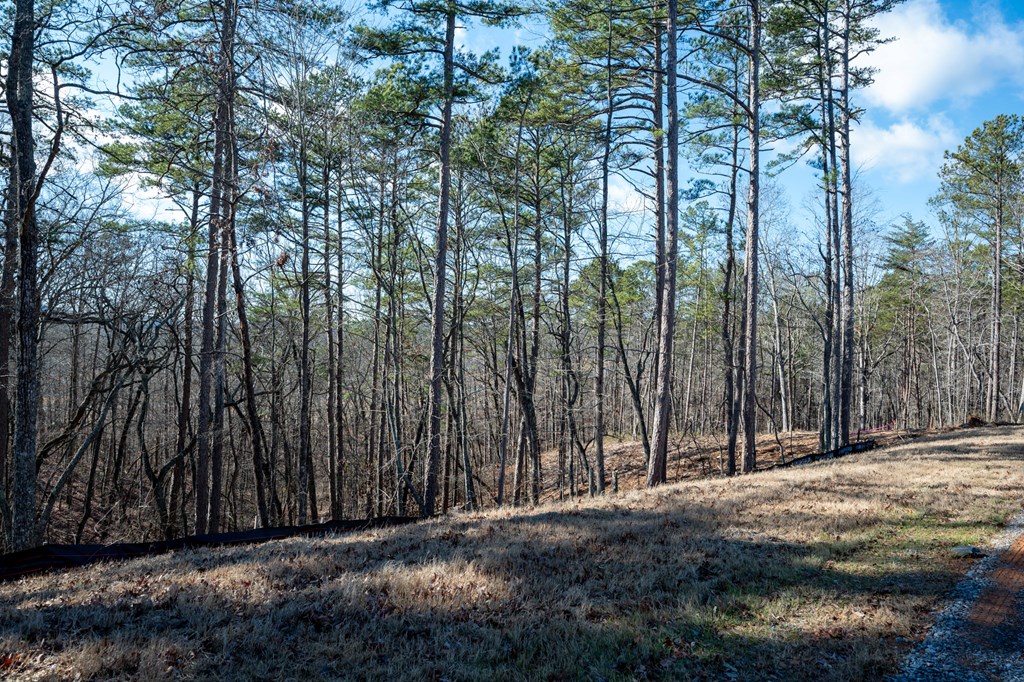 Lot 318 Pebble Trace