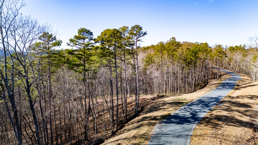 Lot 318 Pebble Trace