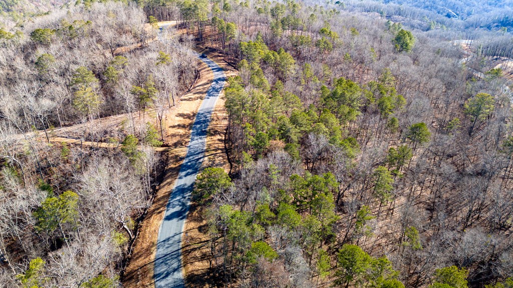 Lot 318 Pebble Trace