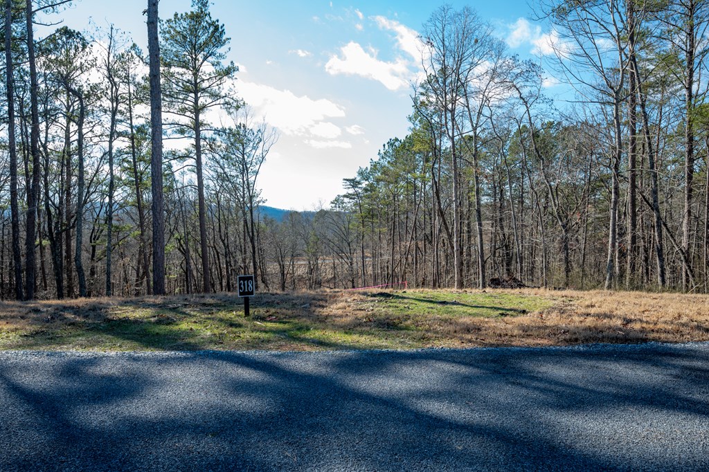 Lot 318 Pebble Trace