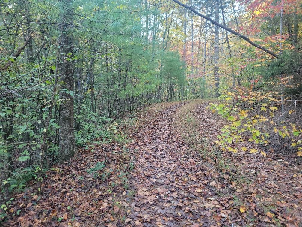 LOT 11 Oscar Court
