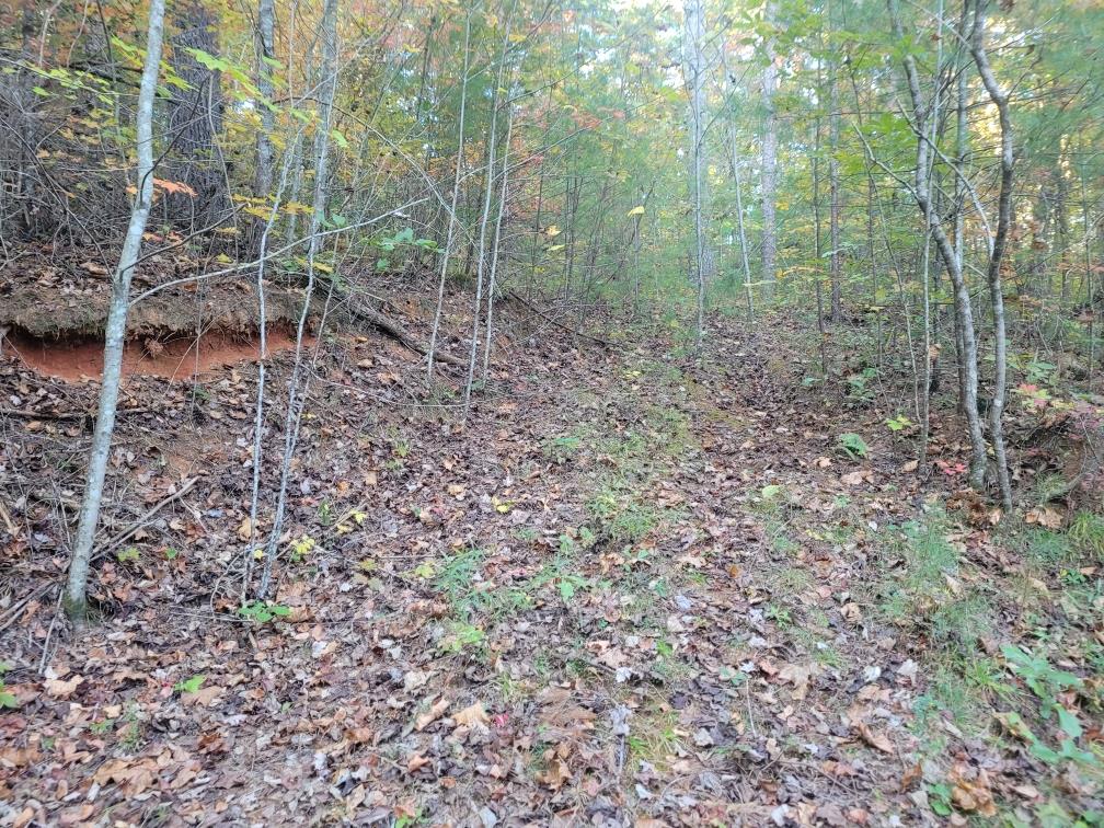 LOT 11 Oscar Court