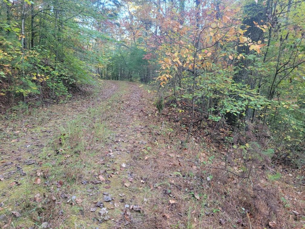 LOT 11 Oscar Court