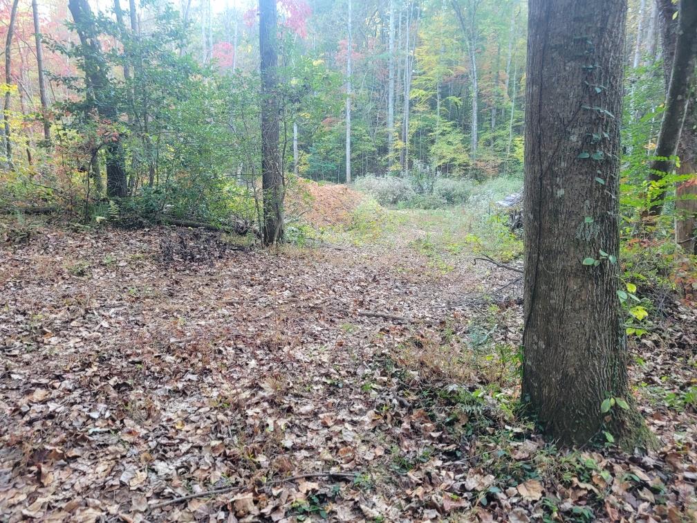 LOT 11 Oscar Court