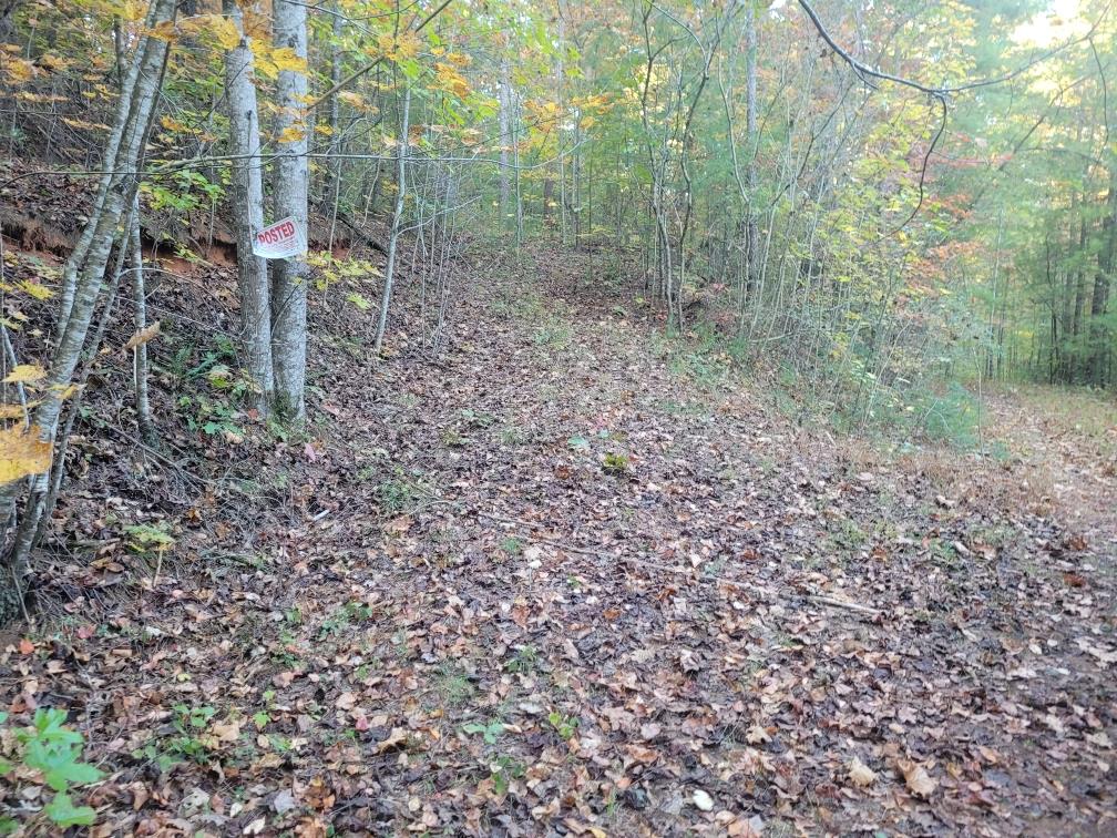 LOT 11 Oscar Court