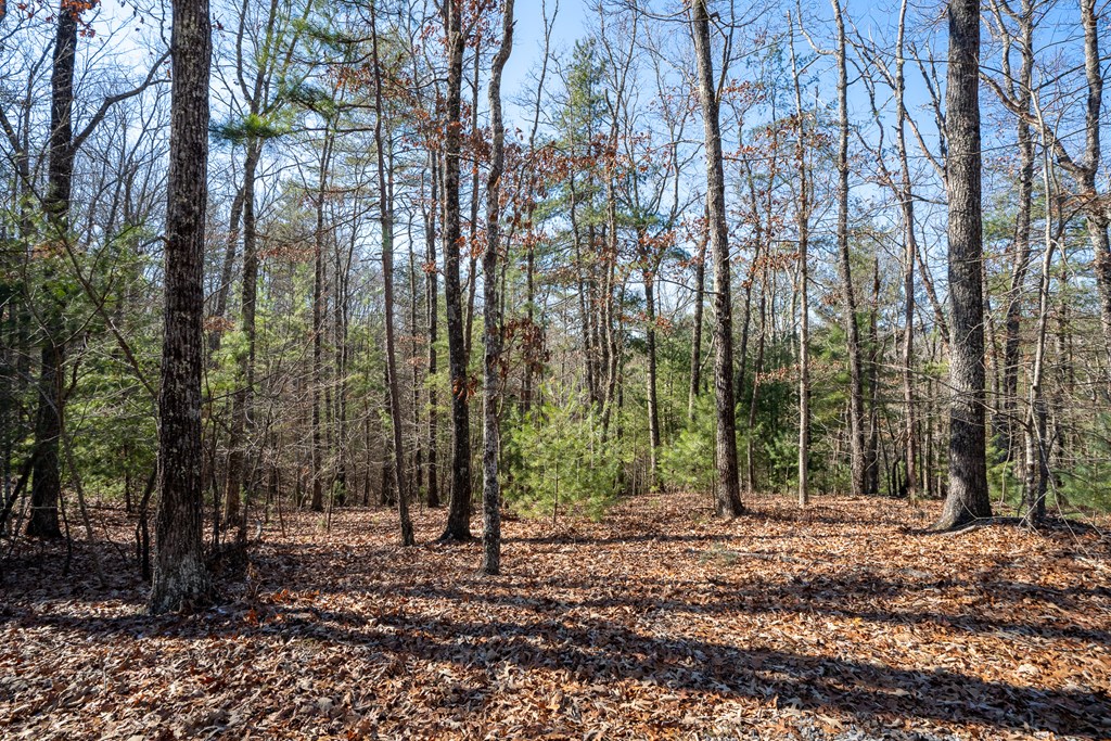 Lot 27 Ridge Road