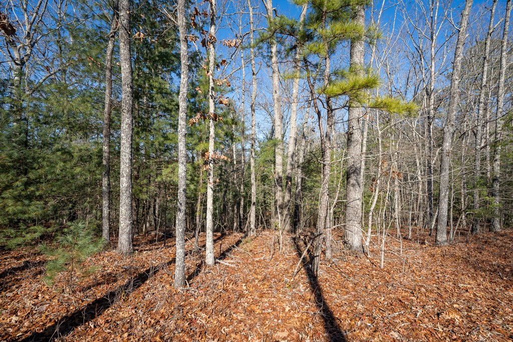 Lot 27 Ridge Road