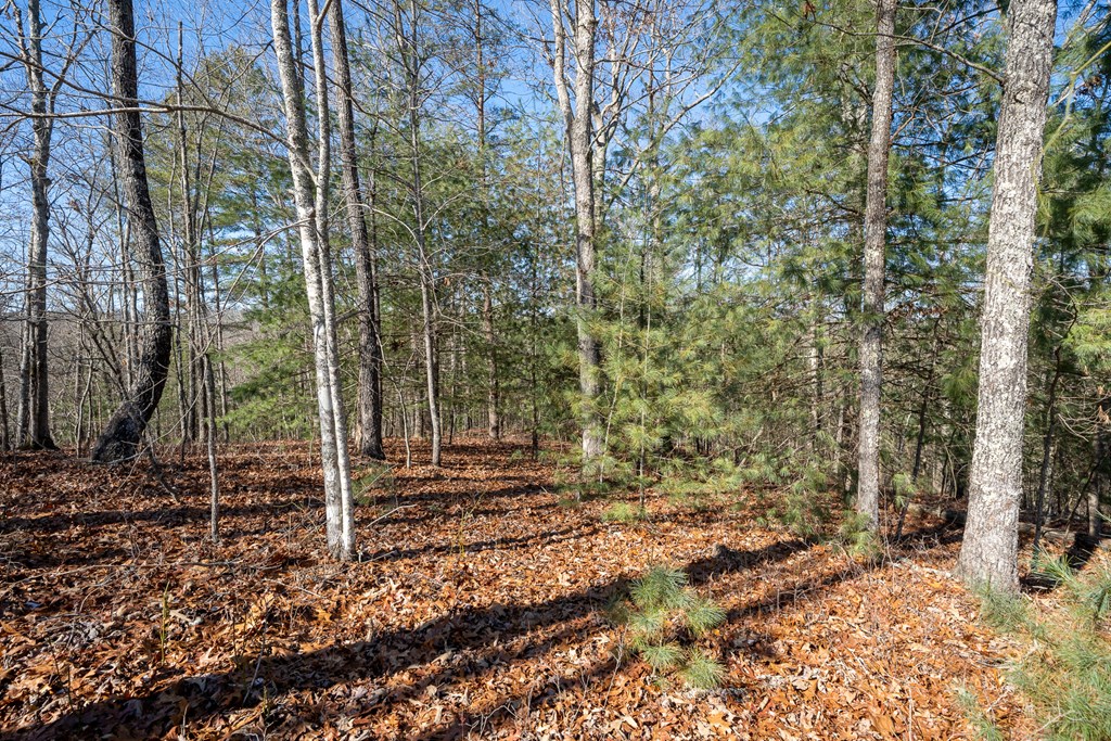 Lot 27 Ridge Road