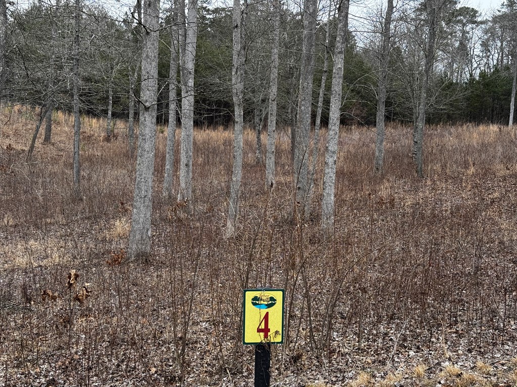 Lot 4 Arbor Creek Trail