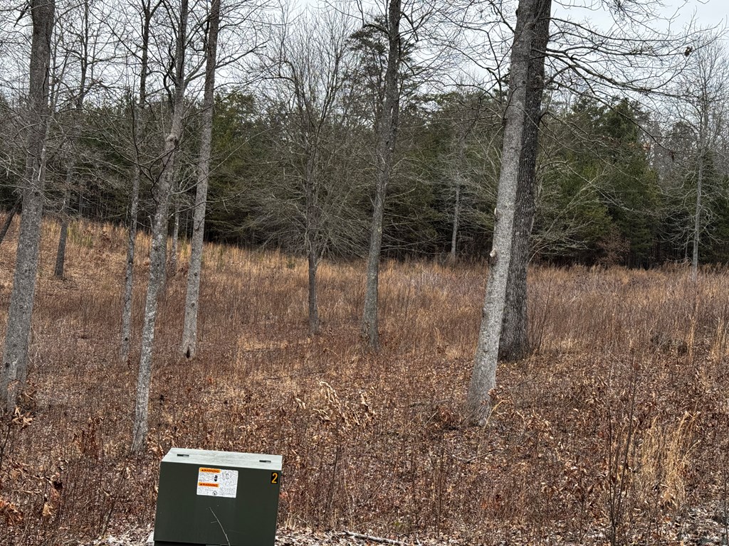 Lot 4 Arbor Creek Trail