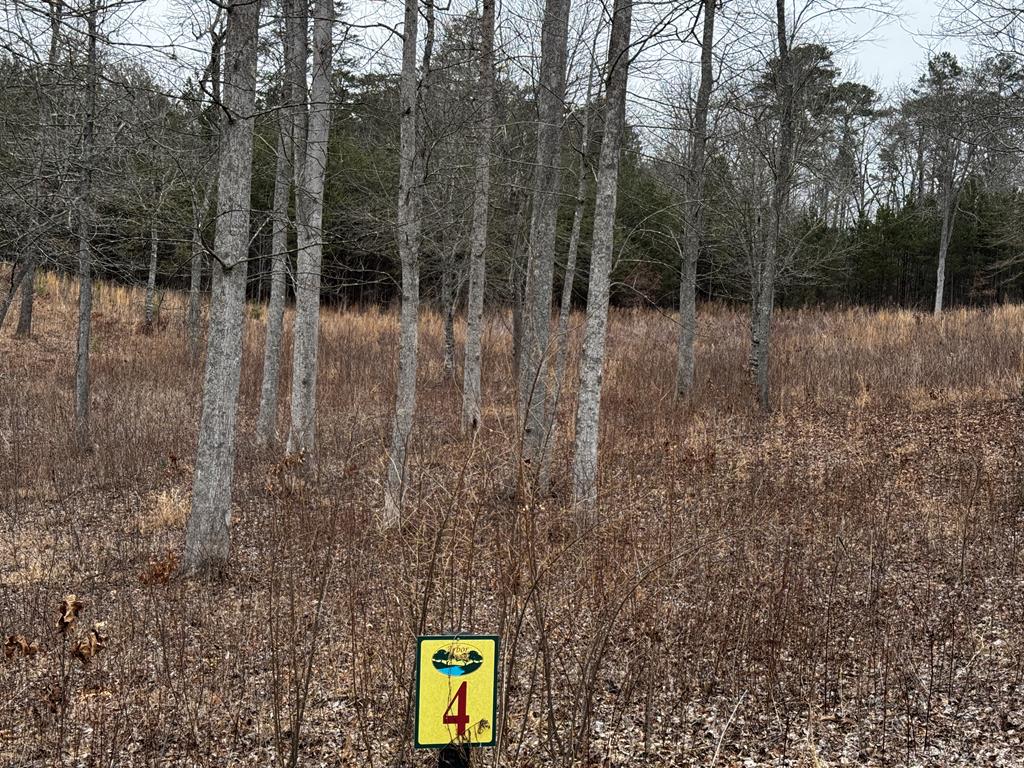 Lot 4 Arbor Creek Trail