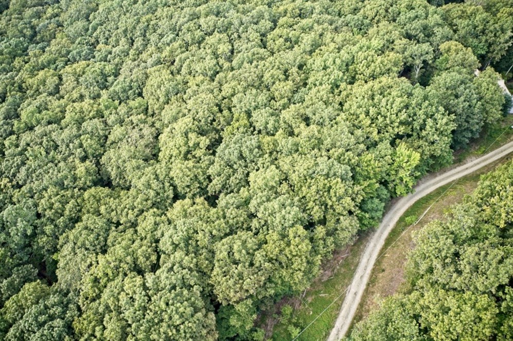 6.51 High Country Lane