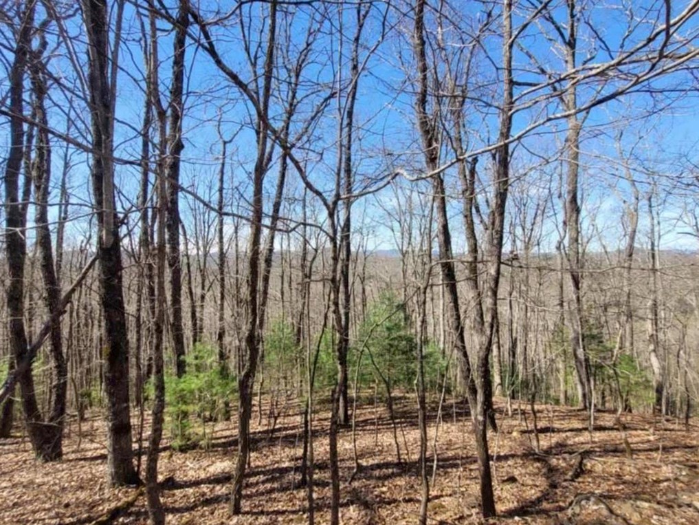 6.51 High Country Lane