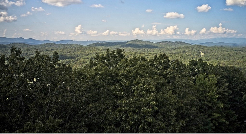 6.51 High Country Lane