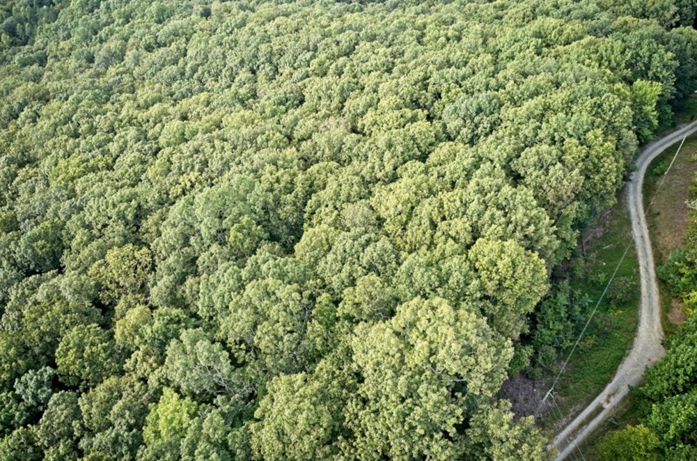 6.51 High Country Lane