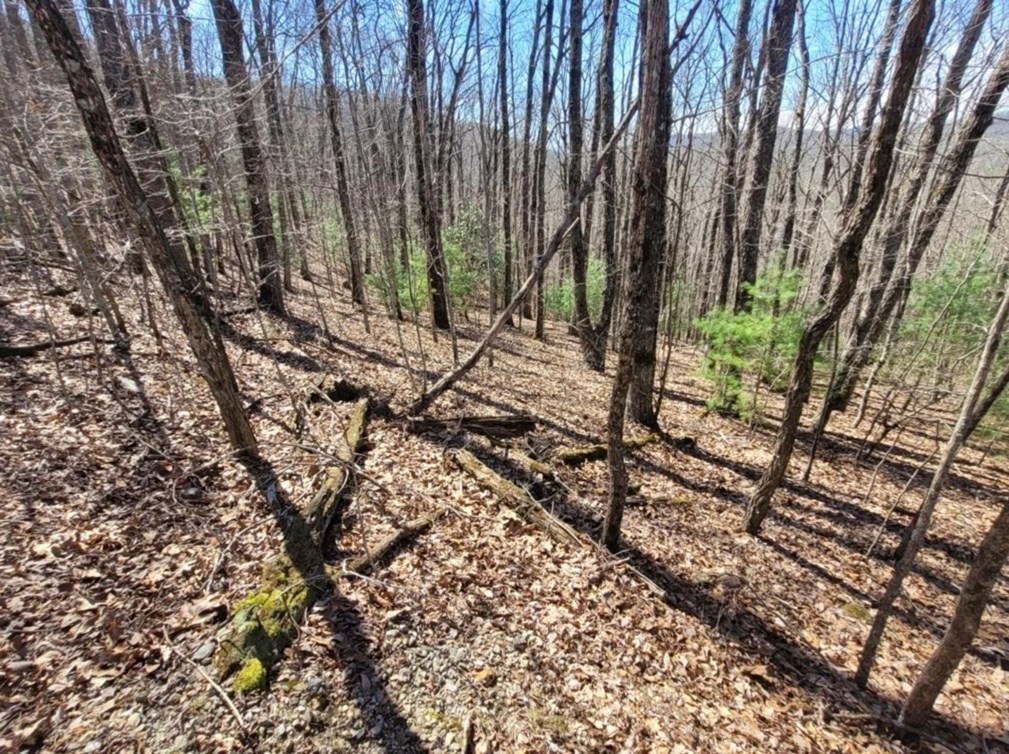 6.51 High Country Lane