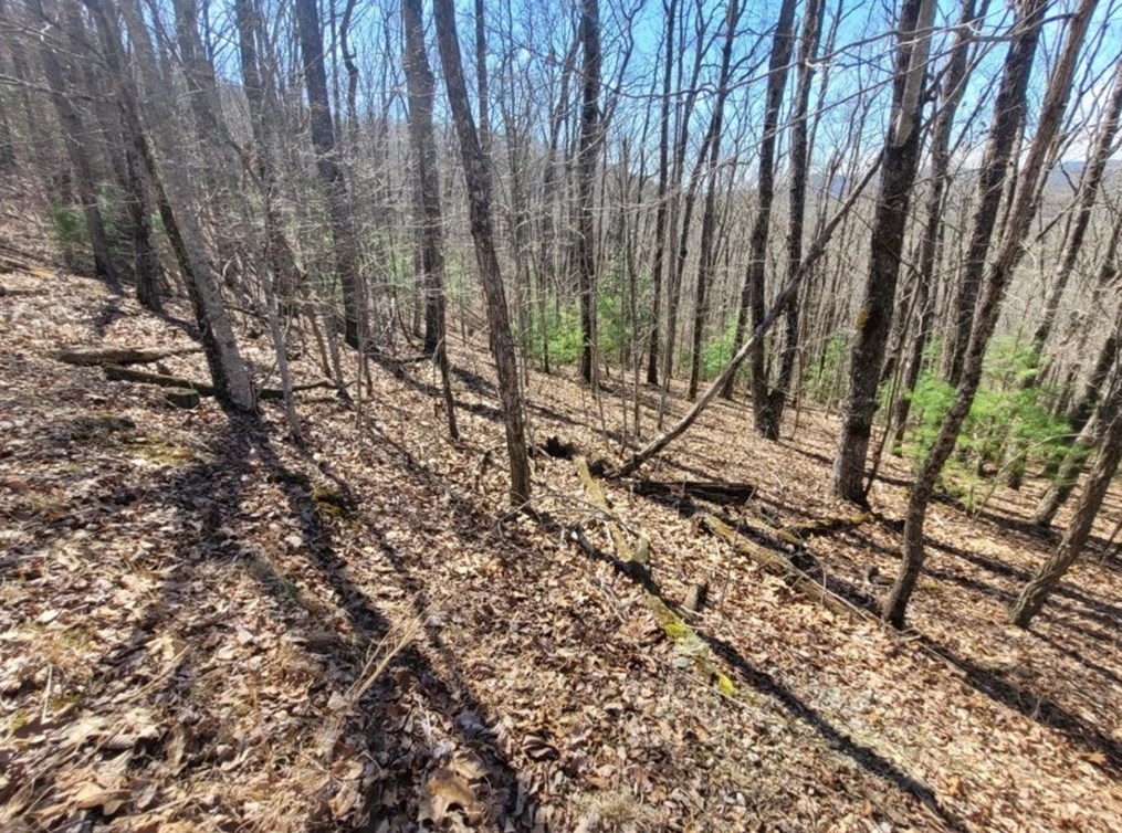 6.51 High Country Lane