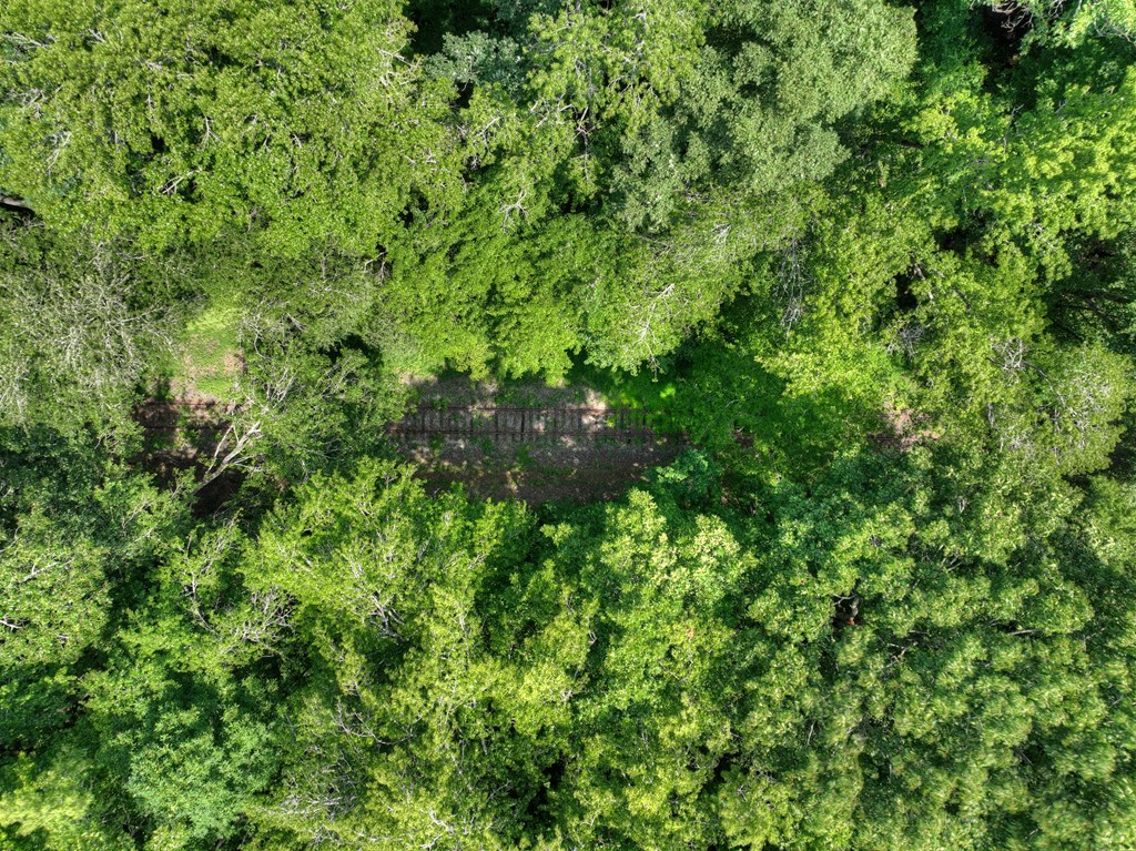 9.29 AC Hwy 515