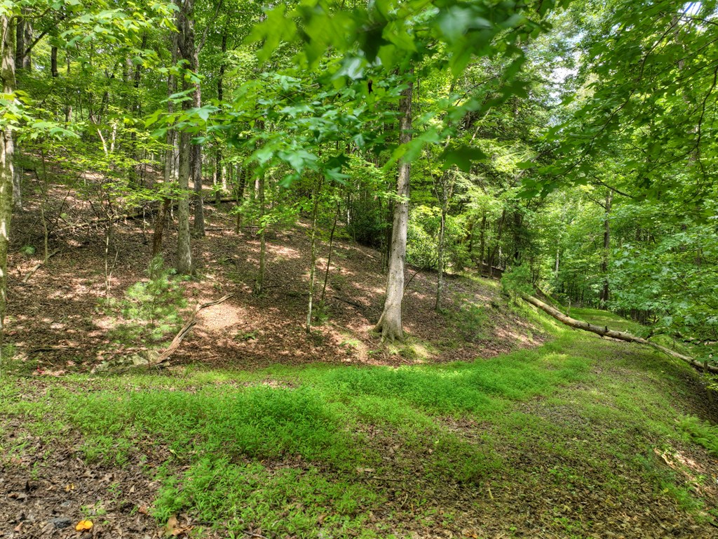 Lot 337 Tunica Lane
