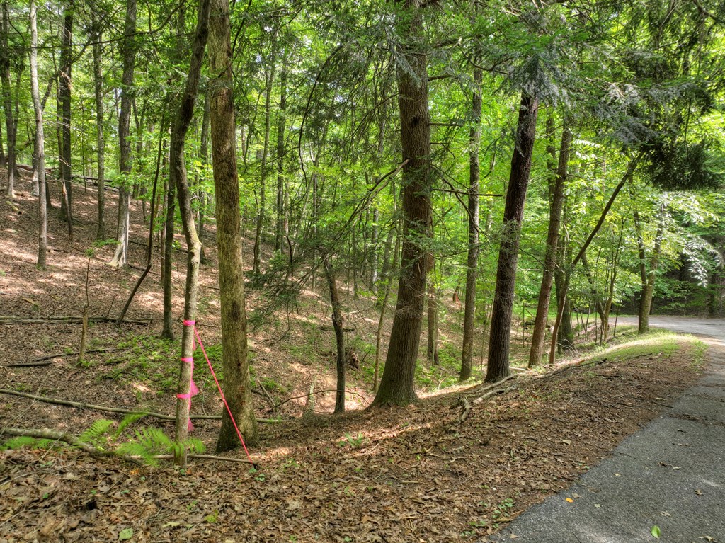 Lot 337 Tunica Lane