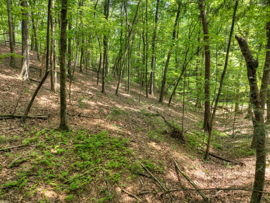 Lot 337 Tunica Lane