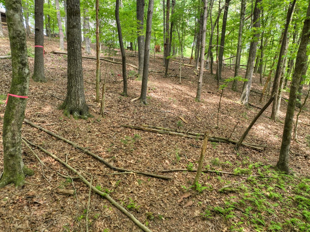 Lot 337 Tunica Lane