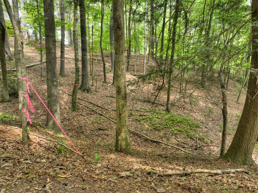 Lot 337 Tunica Lane