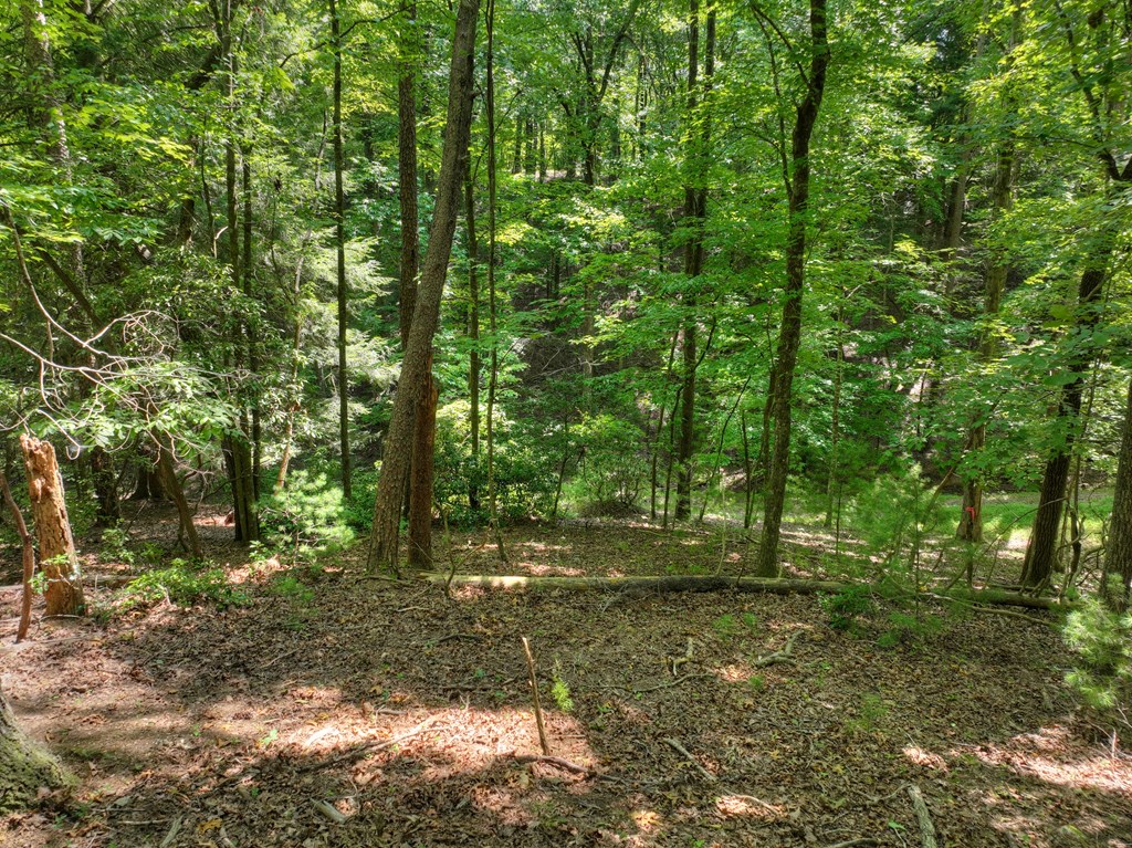 Lot 337 Tunica Lane