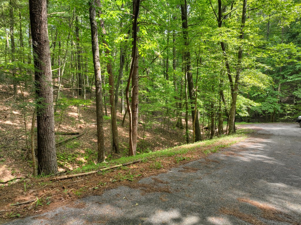 Lot 337 Tunica Lane
