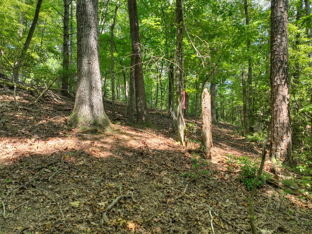 Lot 337 Tunica Lane