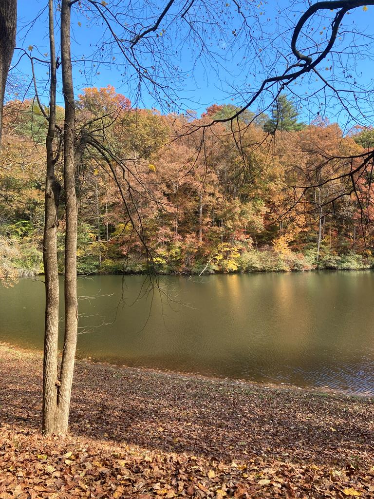 Lot 15 Timberwalk Drive