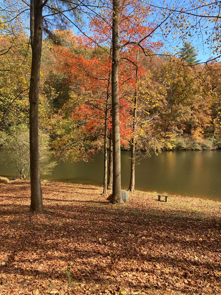 Lot 15 Timberwalk Drive