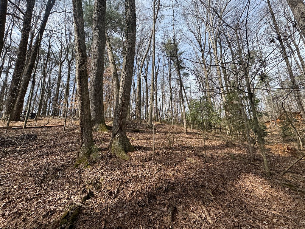 Lot 15 Timberwalk Drive