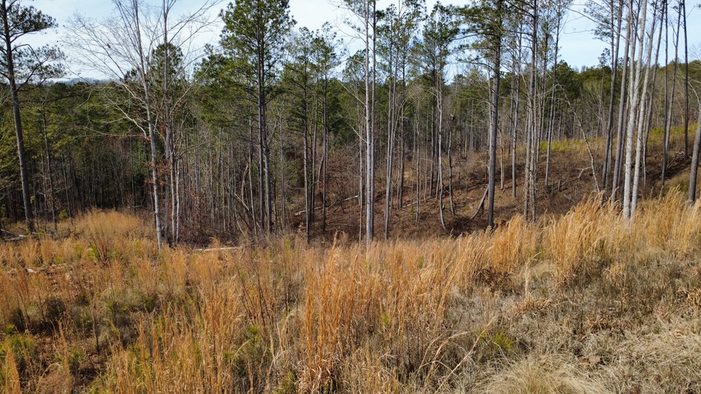 Lot 171 Shallow Water Way