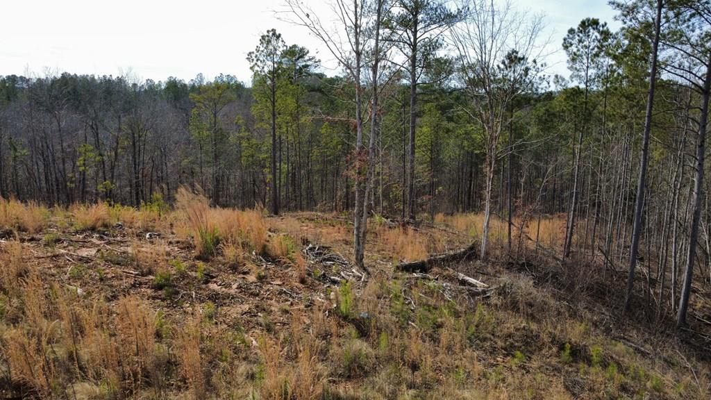 Lot 171 Shallow Water Way
