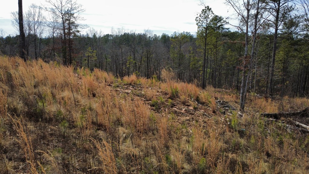 Lot 171 Shallow Water Way