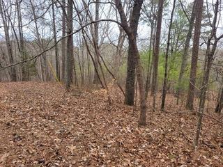 131 Adair Drive