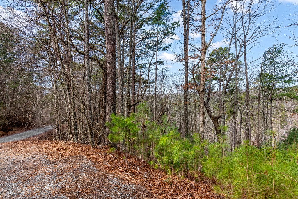 Ellijay