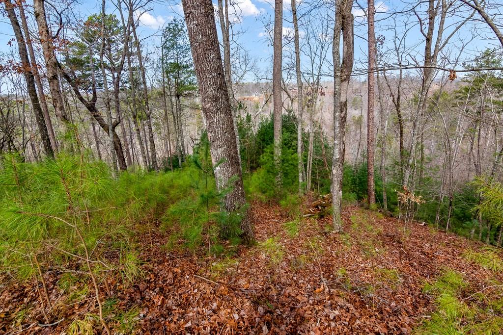 Ellijay