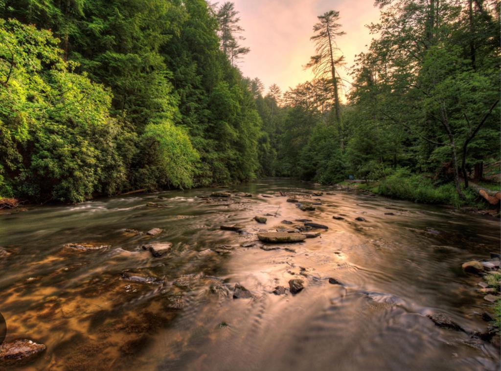 Ellijay