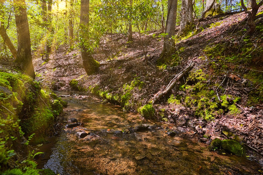 Ellijay