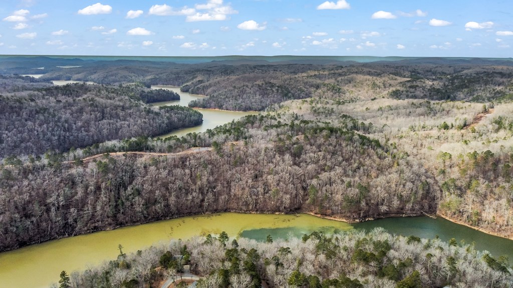 Ellijay